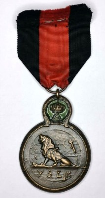 Медаль "За Битву на реке Изер" Бельгия Лев 17 - 31 октября 1914 год Бронза
