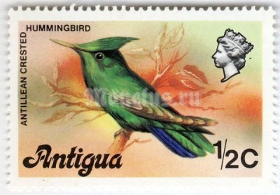 марка Антигуа 1/2 цента "Antillean Crested Hummingbird (Orthorhynchus cristatus)" 1976 год